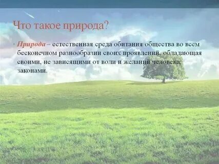 Определение и понятия природа