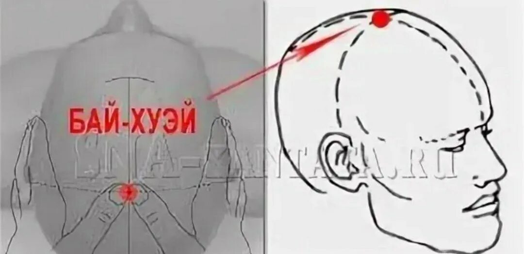 Точка на макушке головы бай хуэй. Vg 20 бай хуэй. Акупунктура vg 20 бай хуэй. Vg20 точка акупунктуры. Точка бай хуэй.