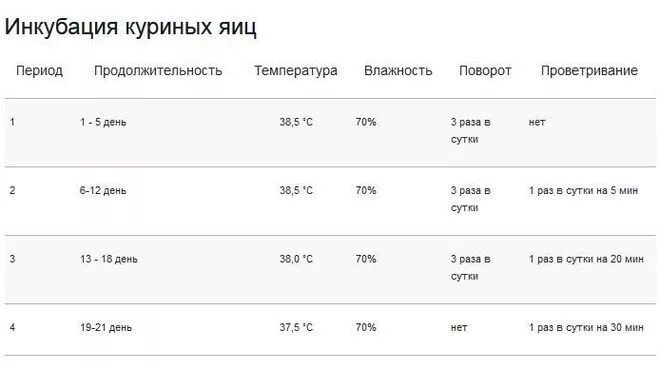 Какая температура должна быть при инкубации. Температурный режим в инкубаторе для куриных яиц. Температурный режим в инкубаторе для куриных яиц таблица. Температурный график инкубации куриных яиц. Какая температура нужна для вывода цыплят в инкубаторе.