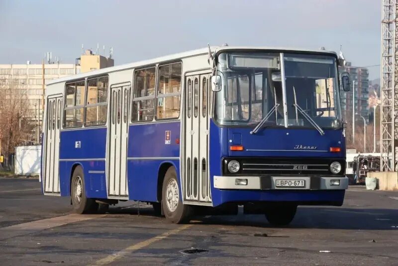 Автобус икарус 260. Икарус 260.06. икарус 260-59. икарус 260 18. икарус 260.01.