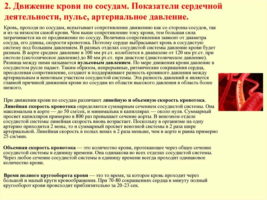 Виды движения крови по сосудам. Давление артериальное движение крови по сосудам. Показатели движения крови по сосудам. Сердечно сосудистая система артериальное давление. Движение крови по сосудам артериальное давление пульс.