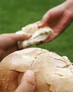 Второй хлеб человека