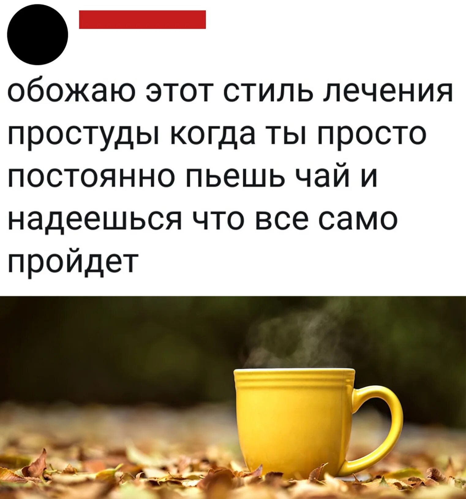 Пойти на праздник не долечив простуду. Цитаты про простуду. простуда мем. статусы про простуду прикольные. простуда фразы.