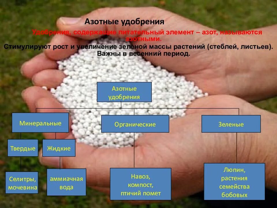 Какое действие оказывают минеральные удобрения. Азотные удобрения. Азотные Минеральные удобрения. Азотные Минеральные удобрения химия. Азотные удобрения презентация.