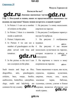 Англ 9 старлайт