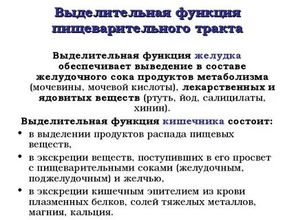 Функции желудка и почек
