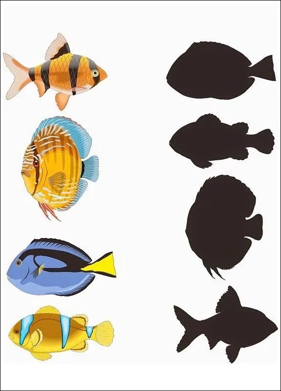 Тени морских обитателей для детей. Рыбы и морские животные задания для дошкольников. Морские обитатели задания для дошкольников. Найди тень. Рыбки одинаковые для детей.