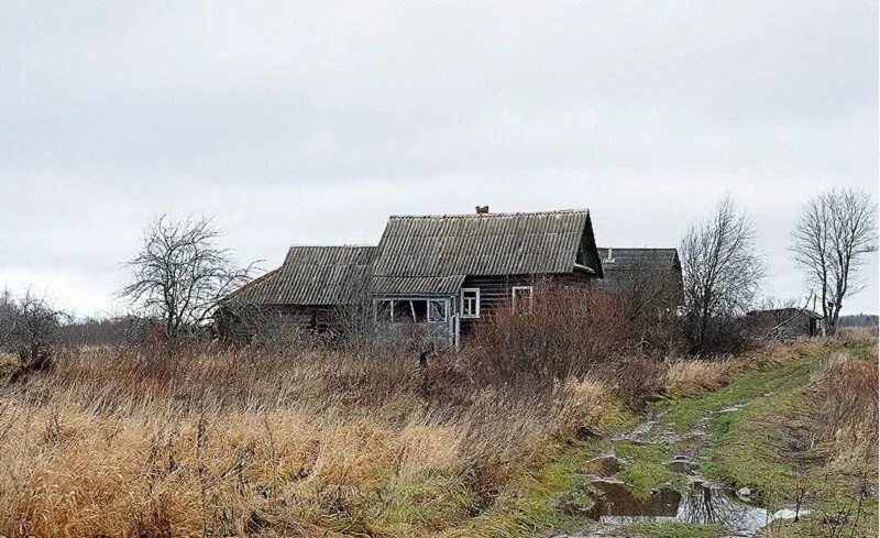 Деревни ленинградской области. Деревня Луги Ленинградской области. Лужская деревня-призрак. Русская Америка деревня-призрак. Деревня призрак Ленинградская область.