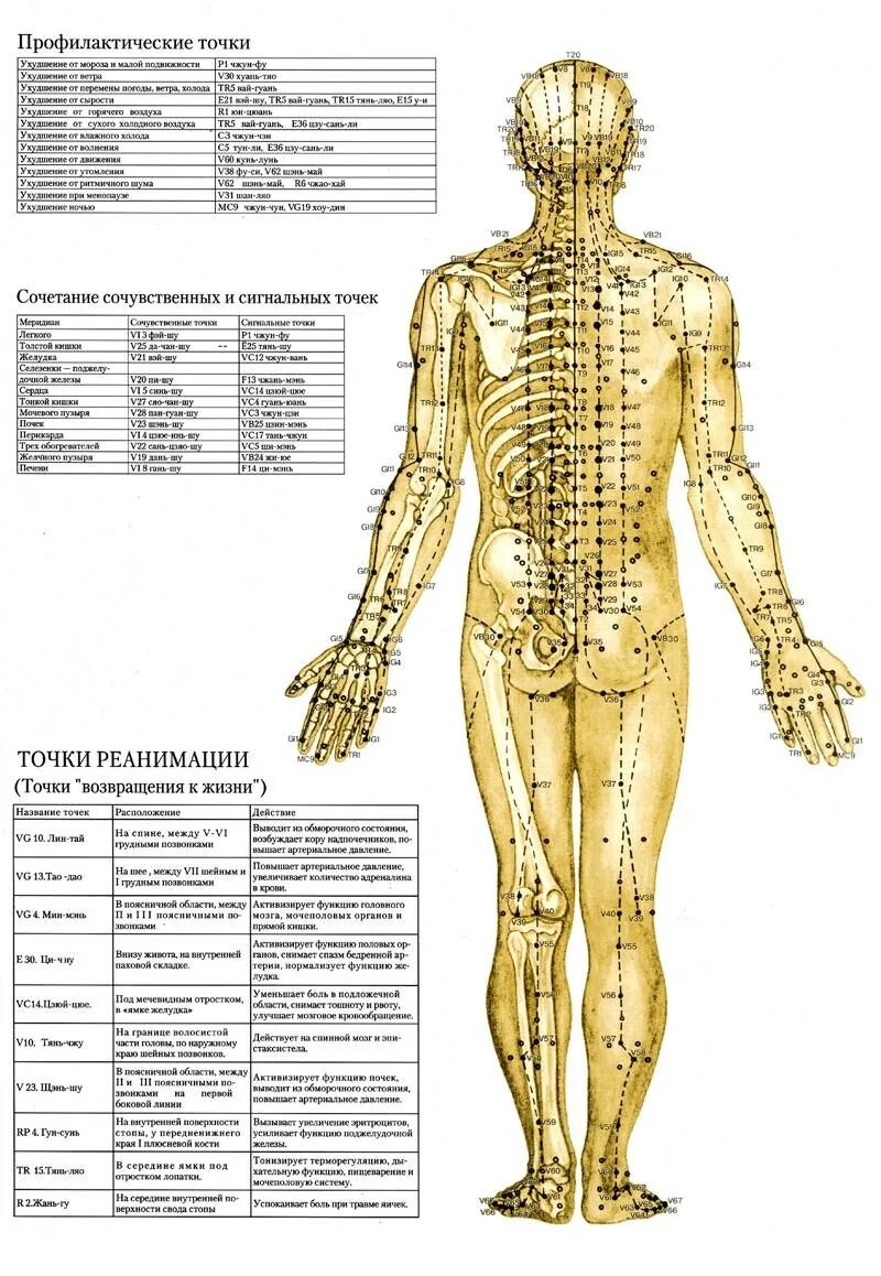 Названия точек человека. Акупунктура меридианы тела человека схема. Акупунктурные точки и меридианы на теле человека. Меридианы человека схема и направления китайская медицина. Атлас точек на теле человека китайская медицина.