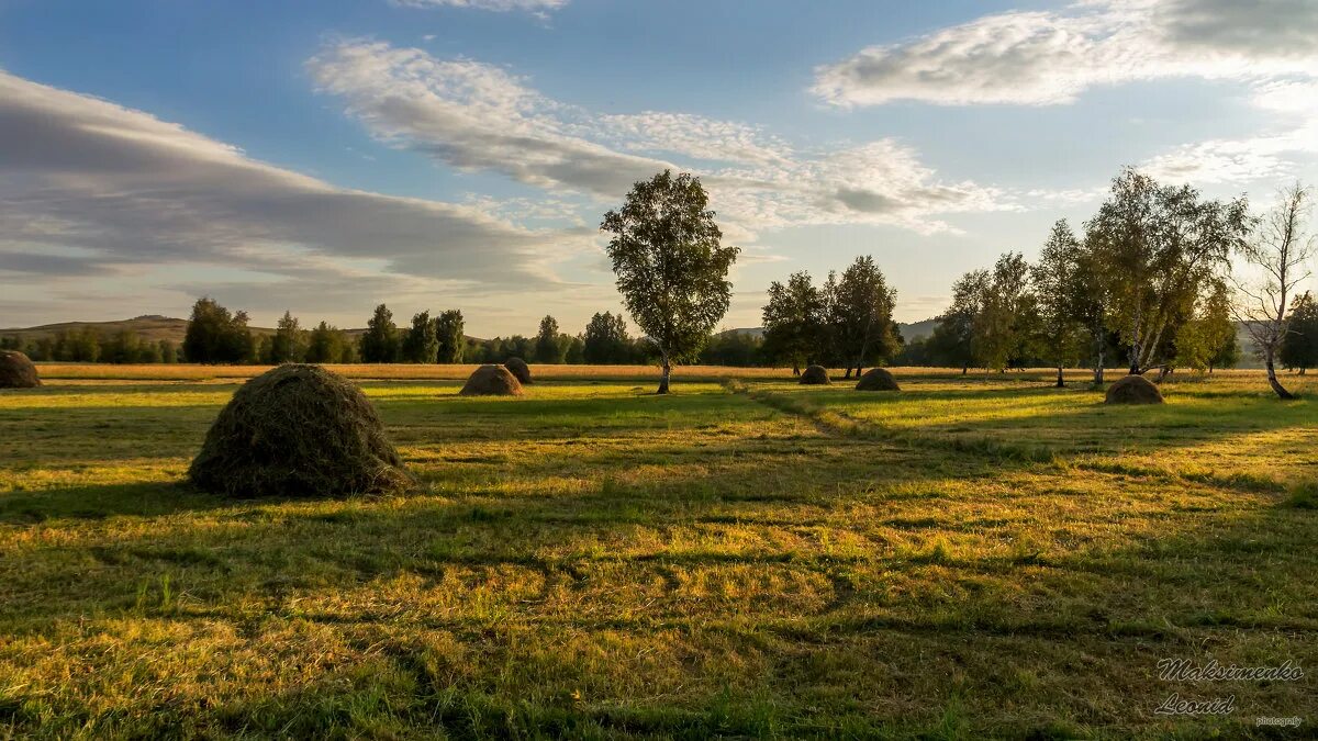 Лето в деревне сенокос. Покос. Сенокосный луг. Луг сенокос.