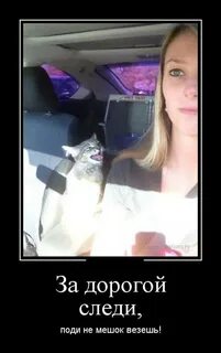 Следи за дорогой