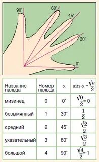 Номера пальцев