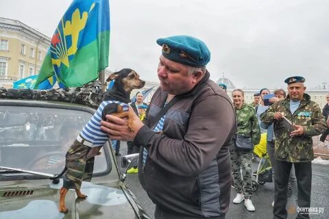 Полосатая натура голубые