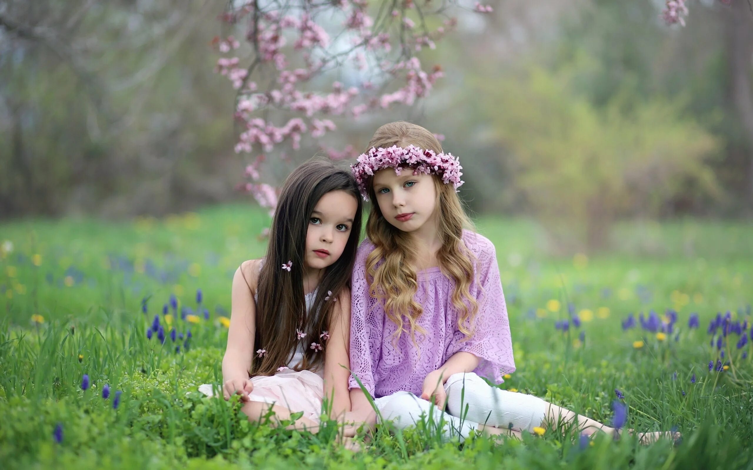 Sisters models. Девочки подруги. Девочки подружки. Фотосессия подружек на природе. Девочка на природе.