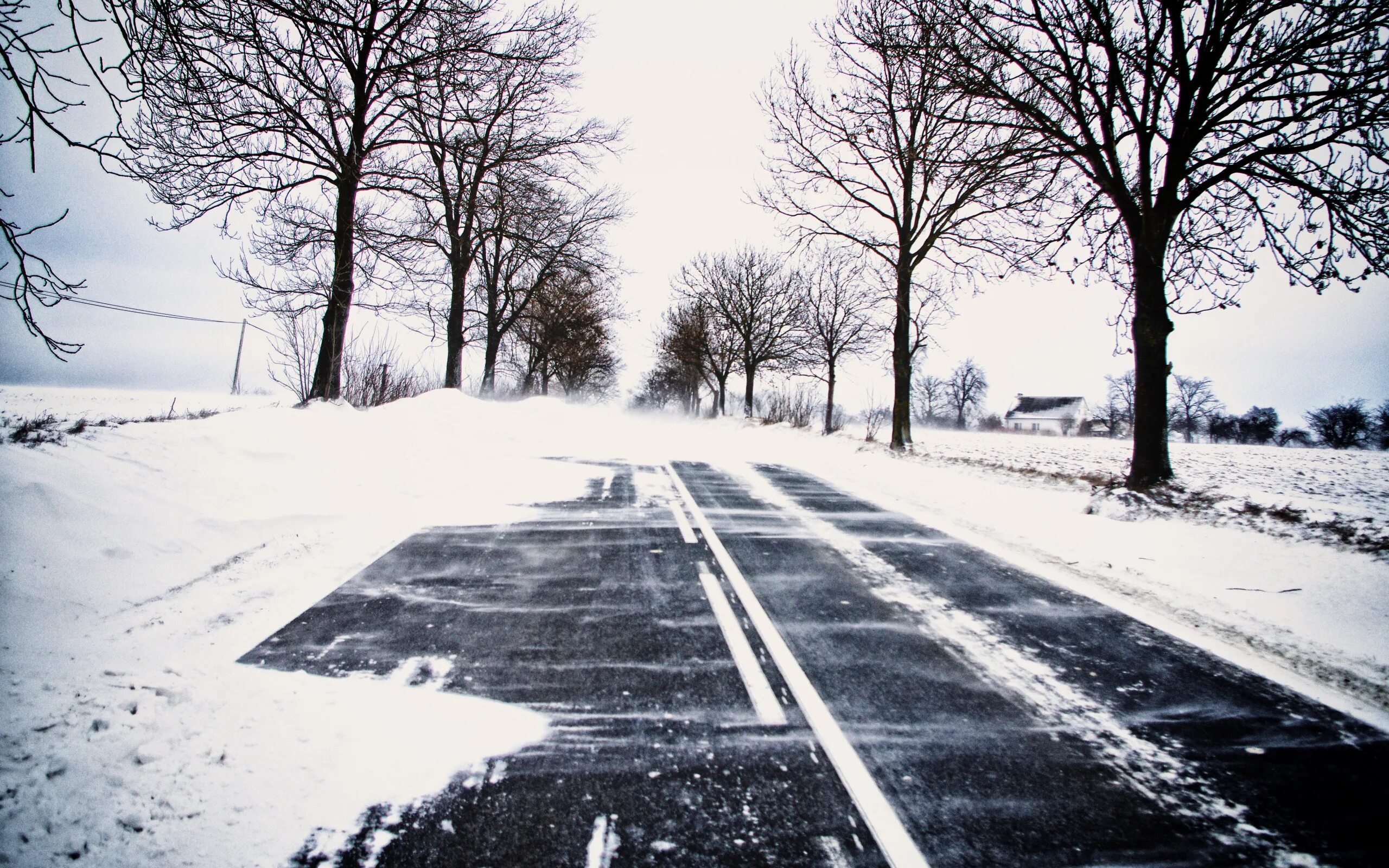 Заснеженная дорога. Дорога со снежинкой. Зимняя дорога. Зимняя дорога в лесу. Дорога со снежинкой.