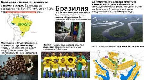 T me stealcstealer бразилия