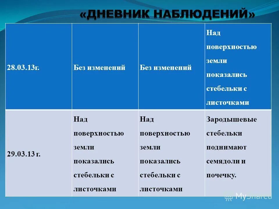 дневник наблюдений рисунок. дневник наблюдения за ребенком в школе. дневник наблюдателя. дневник наблюдателя. дневник наблюдателя.
