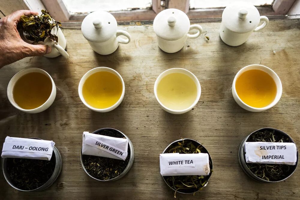 Чай сорта и виды. Несколько видов чая. Элитные сорта чая. Много сортов чая. Чай по сортам.