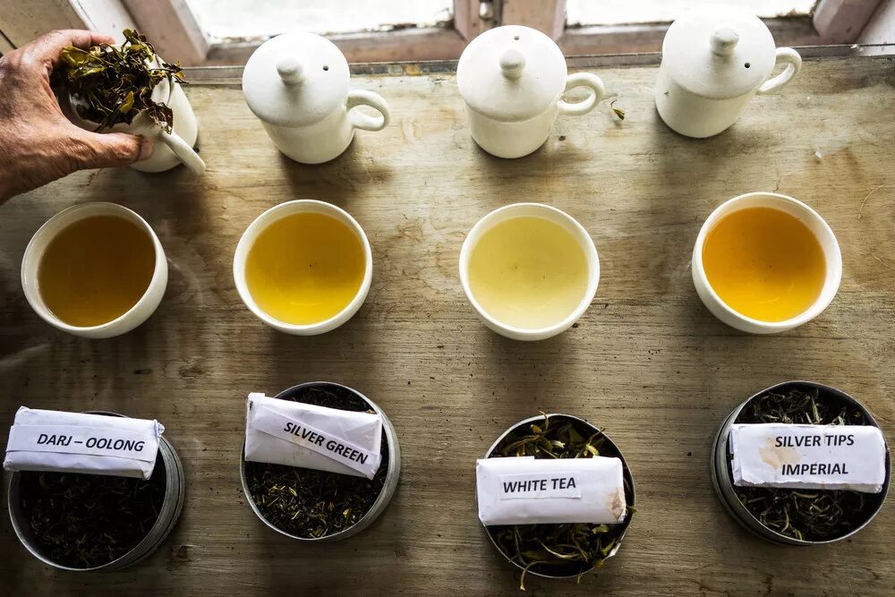 Какой сейчас чай. Чай silver tips imperial от makaibari tea. несколько видов чая. чаи разного цвета. сорта чая в россии.