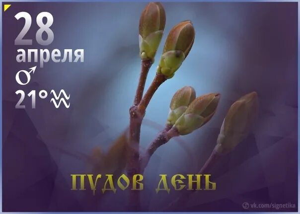 Пуд Пчельник. Пудов день 28 апреля. Пудов день (пуд - Пчельник). 28 Апреля пудов день пуд Пчельник.