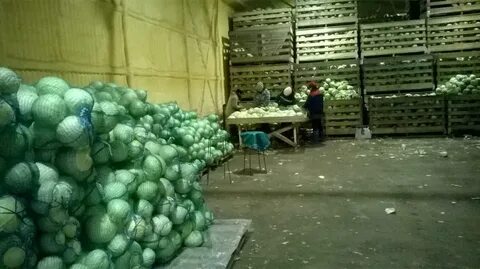 Агро оптом