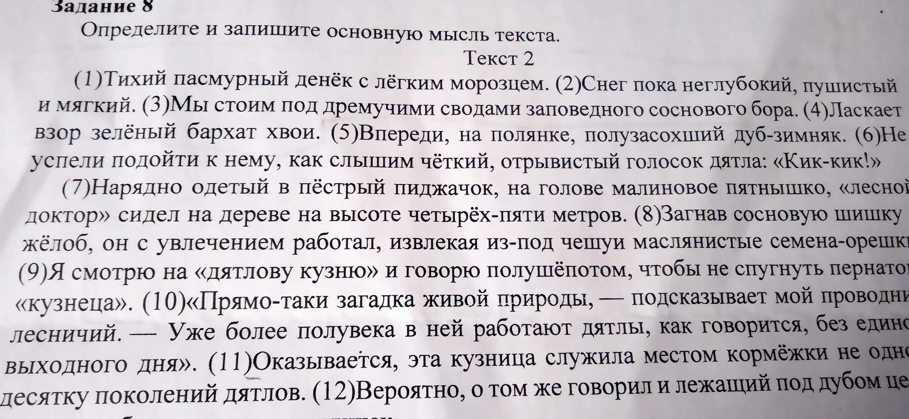 Определите основную мысль текста запишите традиций. Как понять основную мысль текста. Примеры основной мысли текста. Основная мысль текста определение. Определить и записать основную мысль текста.