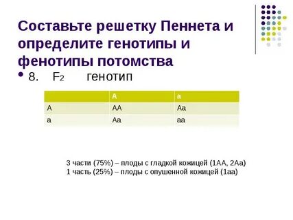 Всегда ли по фенотипу можно определить генотип