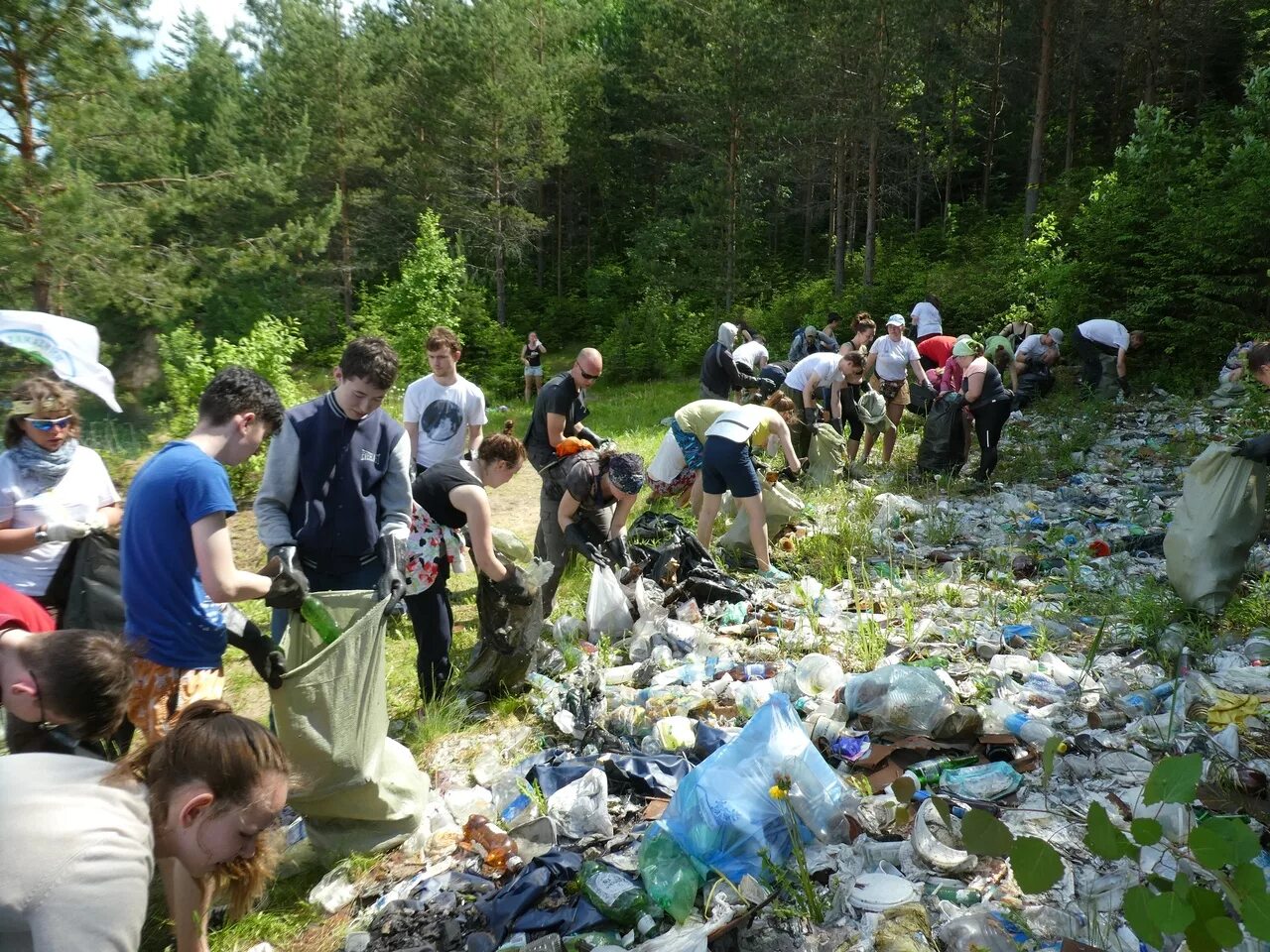 Чистый дол. Волонтеры экологии. Экологическое волонтерство. Волонтерство экология.