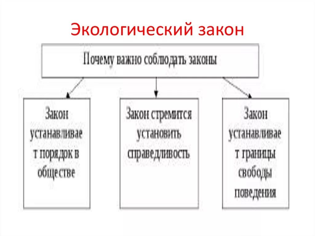 Примеры экологических законов. Основные законы экологии. Основные законы экологии кратко. Законы экологии кратко. Законы экологии таблица.