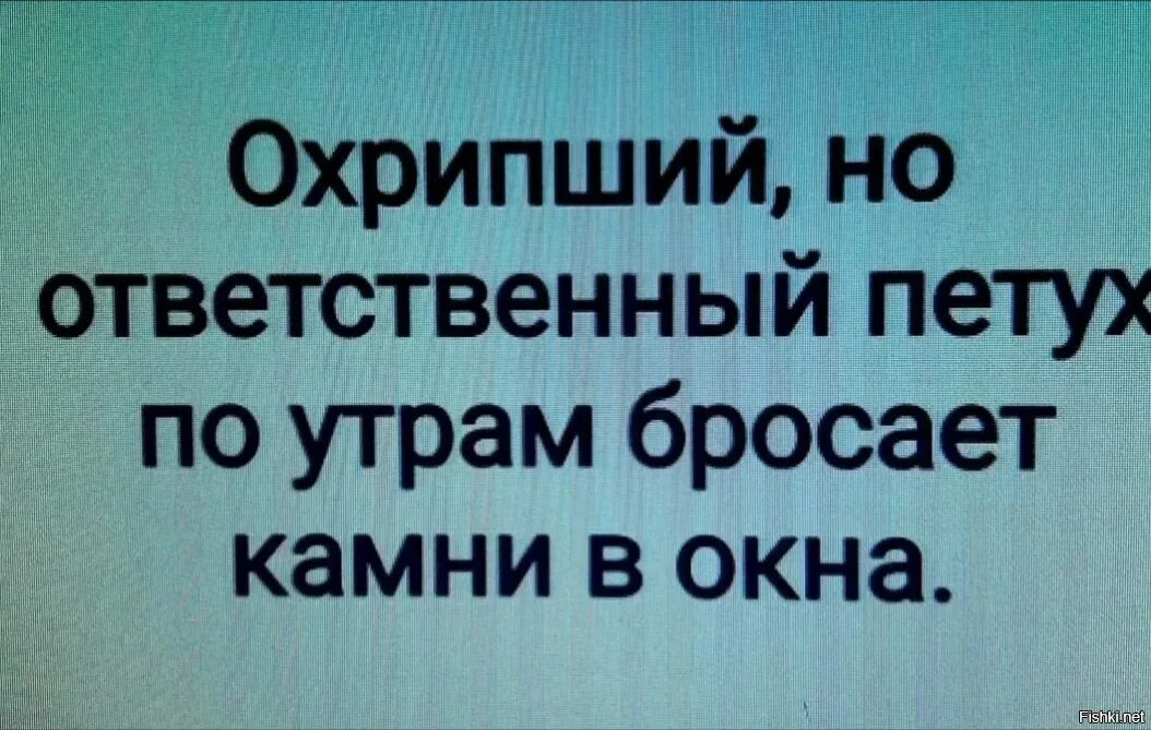 Почему утром перестал. Охрипший но ответственный петух по утрам бросает. Охрипший но ответственный петух по утрам бросает камешки в окна. Анекдот про охрипшего петуха. Старый но ответственный петух.