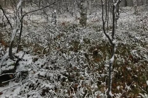 Забайкальский край синоптик