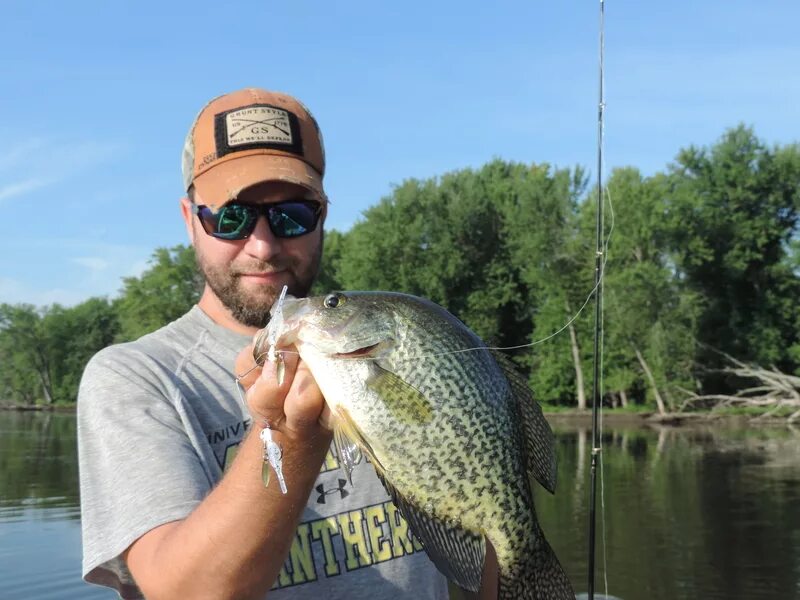 Рыбалка на реке или. Рыбы миссисипи виды. Bass fishing. Рыбы реки миссисипи. Миссисипи рыбалка.