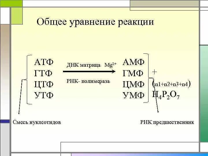 АТФ И ГТФ. АТФ ЦТФ. Нуклеотидные кофакторы: УТФ, ЦТФ, ГТФ, АТФ.. АТФ ГТФ УТФ ЦТФ.