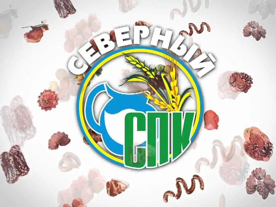 Спк видео. Спк северный. спк северный соликамск. совхоз северный соликамск. спк северное соликамск золотарев.