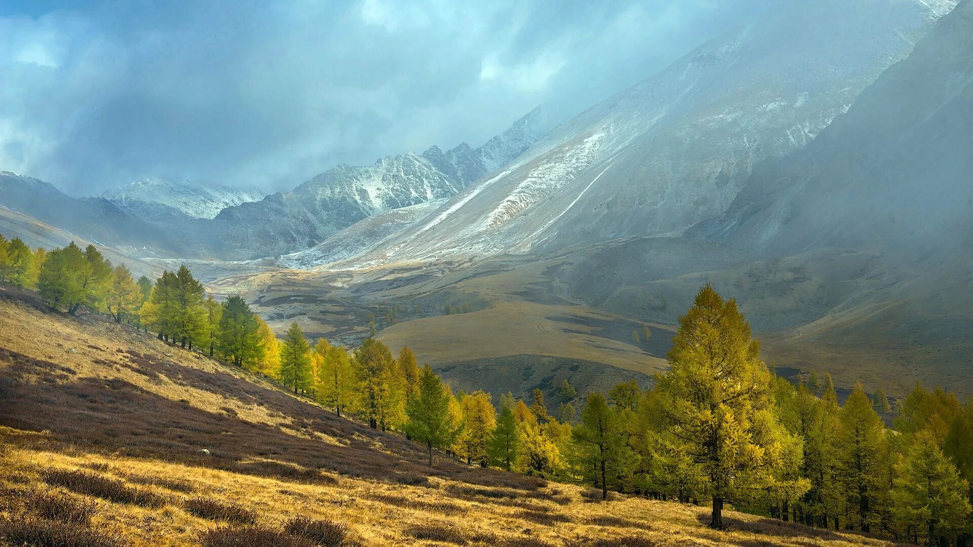 Природная зона равнины алтая. Курайский хребет горный Алтай. Республика Алтай Курайская степь. Курайская степь Алтай озера. Курайская степь заповедник.