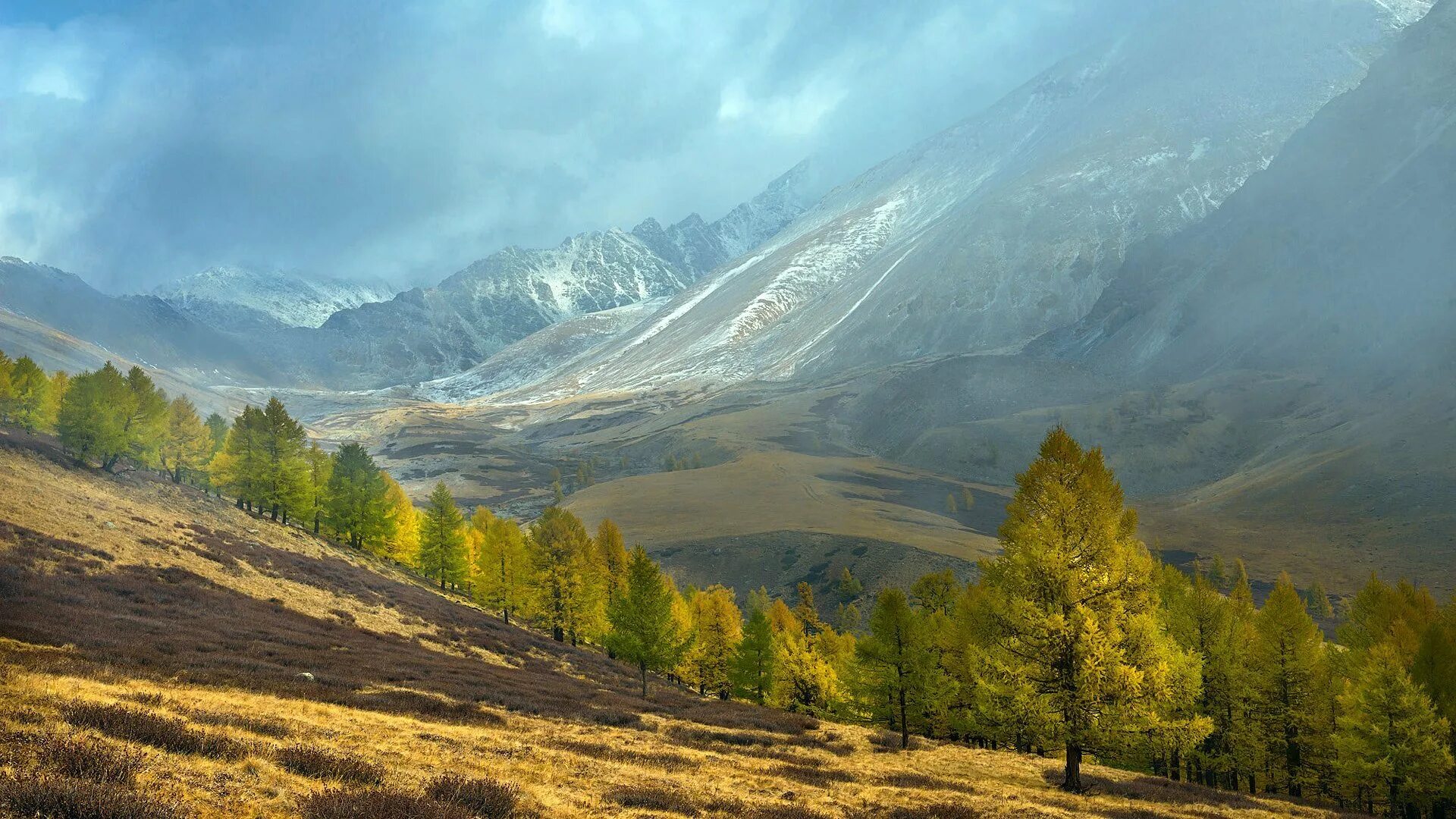 Курайский хребет горный Алтай. Республика Алтай Курайская степь. Курайская степь Алтай озера. Курайская степь заповедник. Республики алтай коми