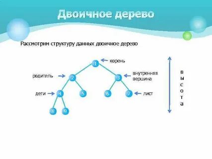 Структура данных дерево