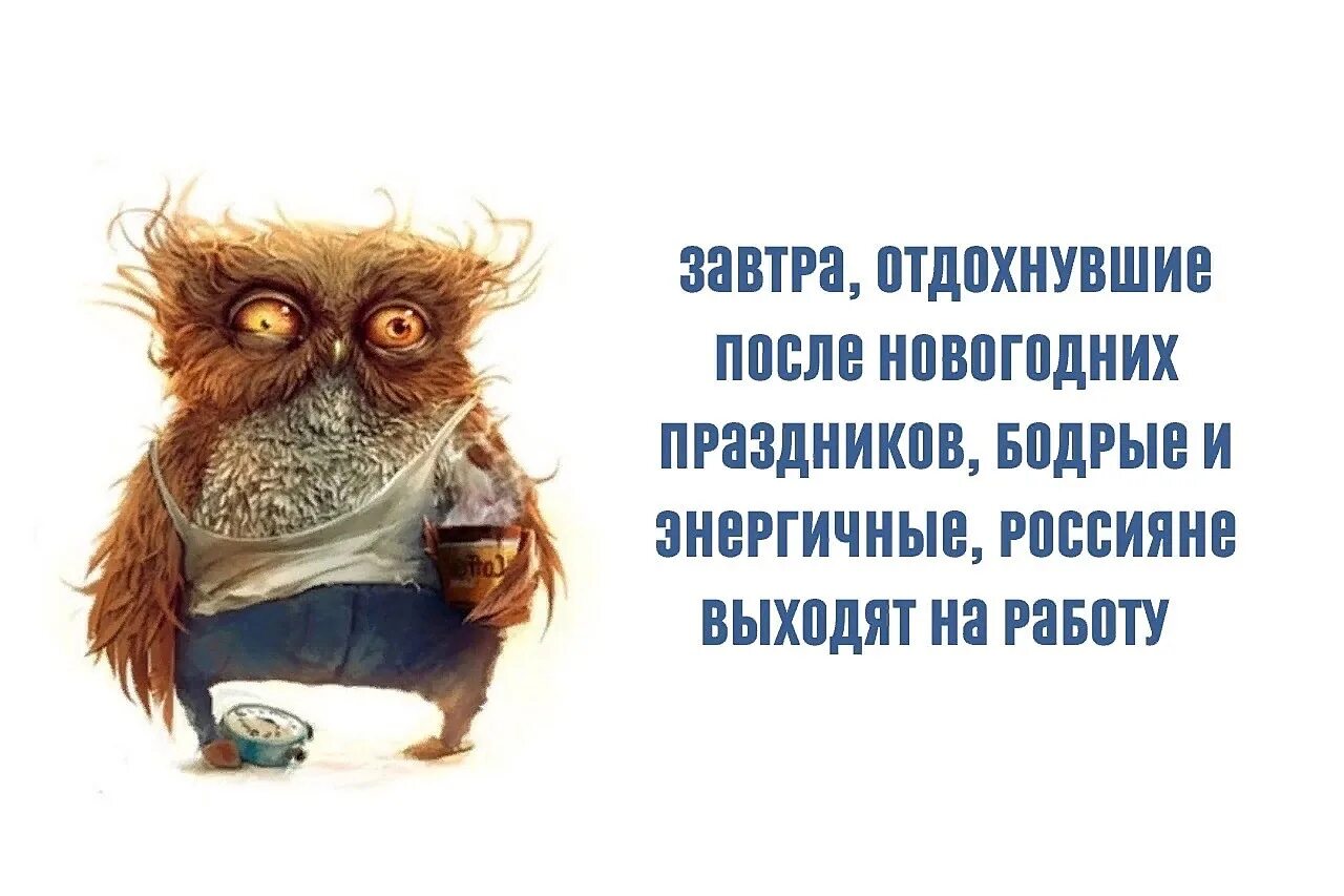 После новогодних праздников. Приколы на работу после нового года. После новогодних праздников приколы. На работу после праздников приколы.