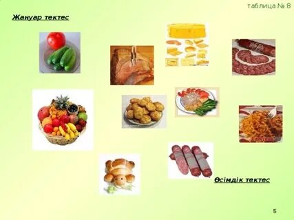 Мысықтарды вакцинациялау өте маңызды