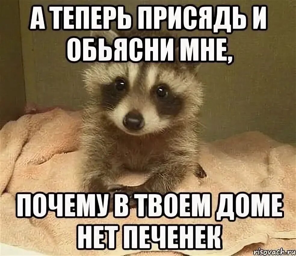 Ты зовешь его печенькой фф