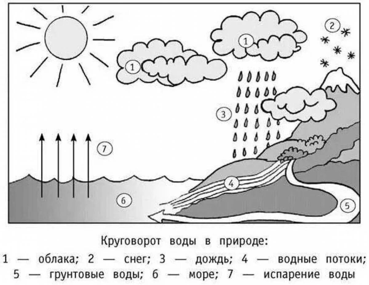 Схема мирового круговорота воды 6 класс. Круговорот воды в природе схема для детей. Окружающий мир круговорот воды в природе. Схемы отражающие круговороты воды.