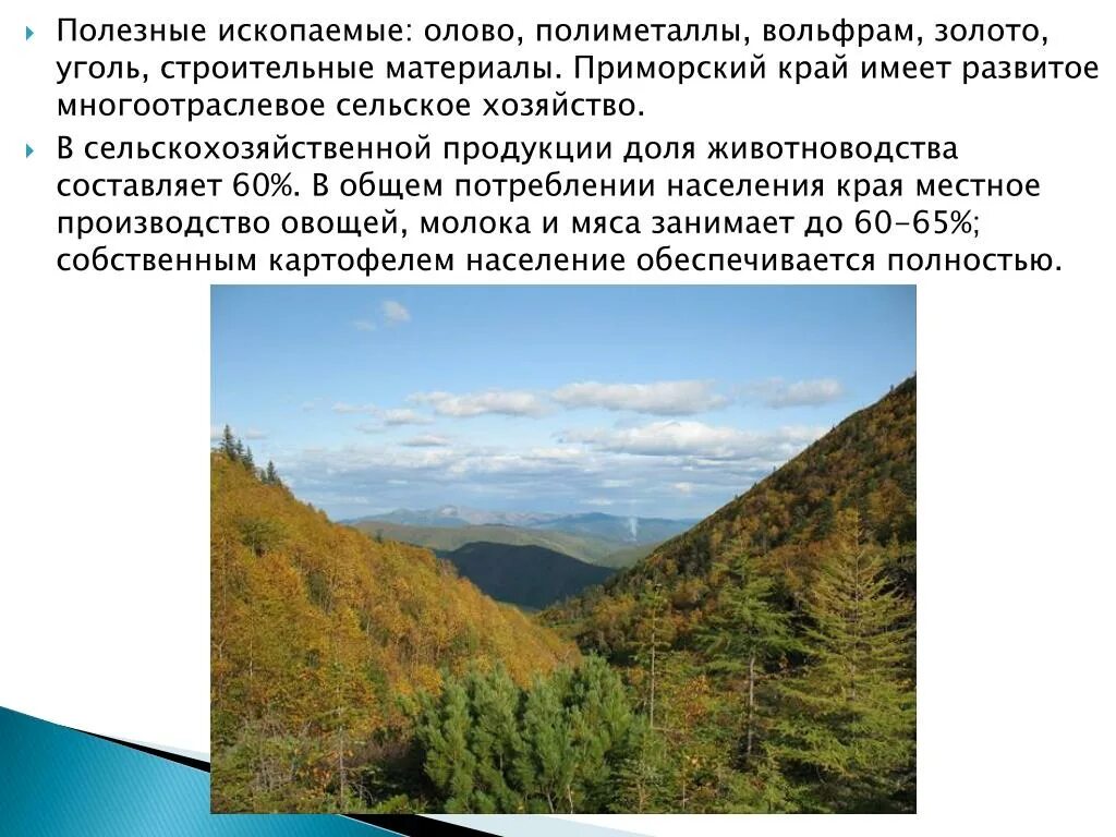 Приморье описание