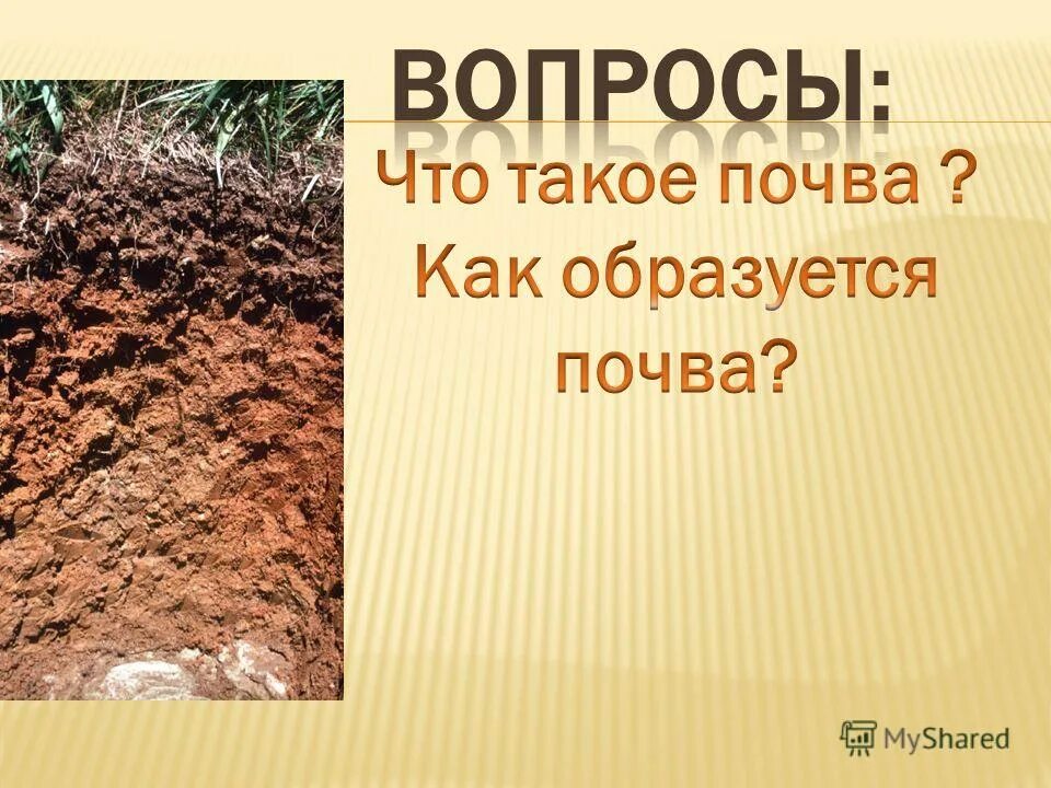 роль почвы в передаче инфекционных и паразитарных заболеваний. вопросы по почве. вопросы по почве. вопросы про почву. вопросы по теме почвы вопросы.