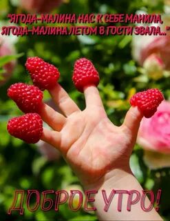 Малина добра