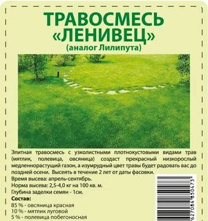 Лилипут отзывы