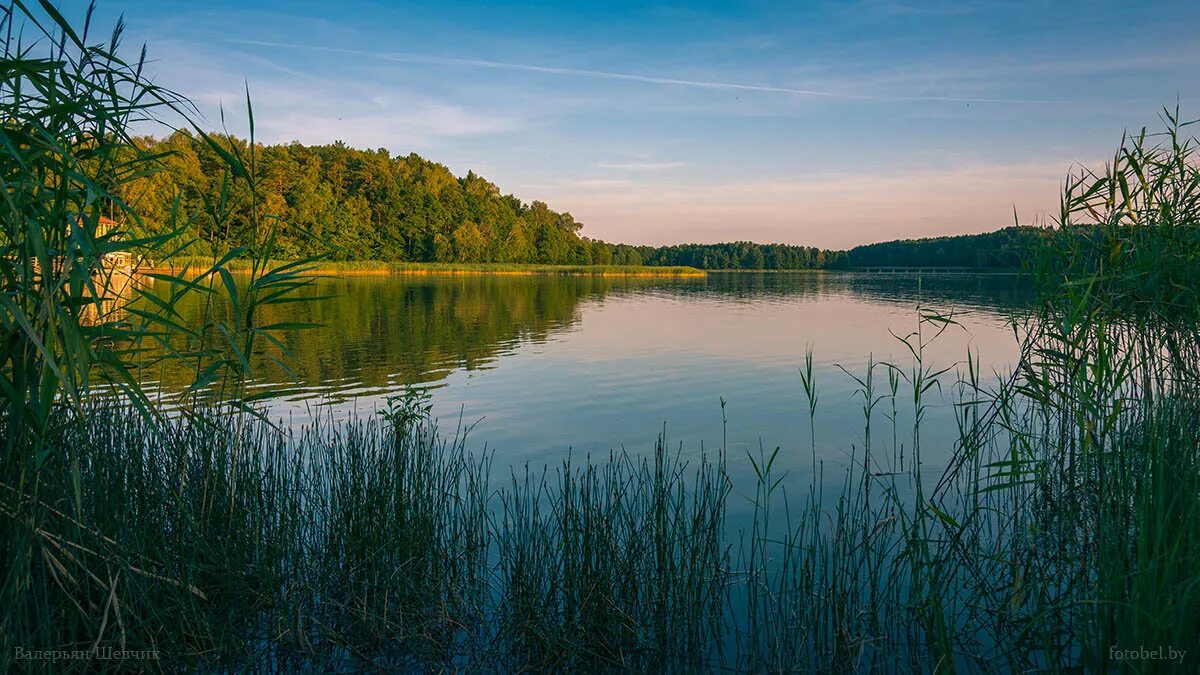 Озеро белое Гродненский район. Белое озеро Беларусь Гродненская область. Озеро белое Кань. Оз белое Гродно. Озеры беларусь