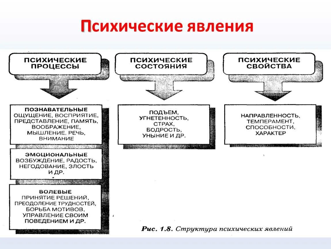 Что является примером проявления