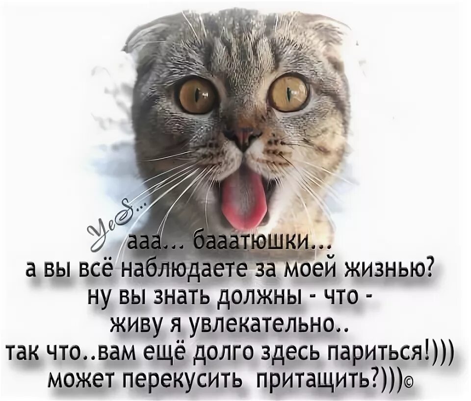 Следит за жизнью бывшей