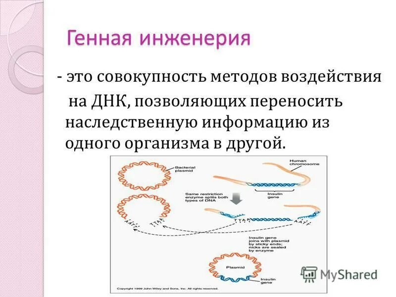 Виды переноса генетической информации. Перенос наследственной информации. Перенос генетической информации с м-рнк на белок называется. Хранят и переносят наследственную информацию. Способы переноса генетической информации.