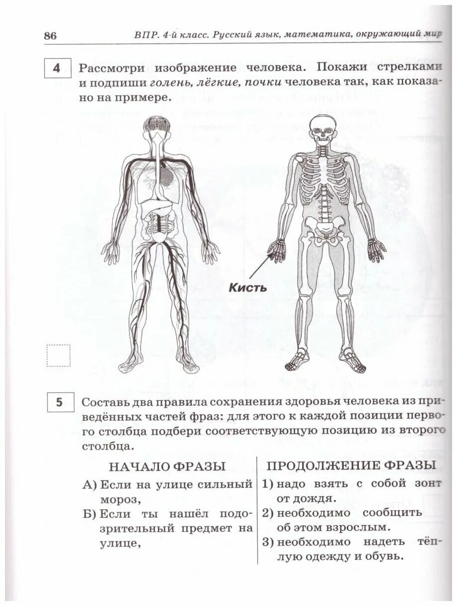 Решу впр 6 класс математика 2863402